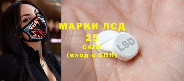 ПСИЛОЦИБИНОВЫЕ ГРИБЫ Лихославль