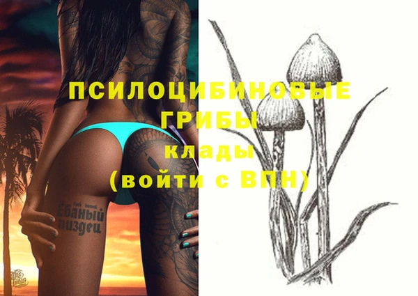 mdpv Лабытнанги
