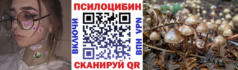 Псилоцибиновые грибы мухоморы  darknet официальный сайт  Мглин  гидра ссылки 